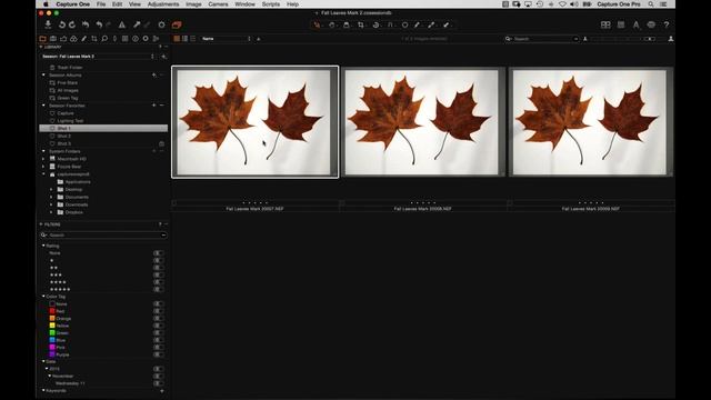 Capture One Pro 8 Webinar | Optimising Tethered Capture смотреть онлайн