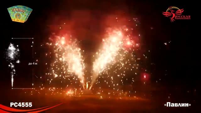 Павлин смотреть онлайн