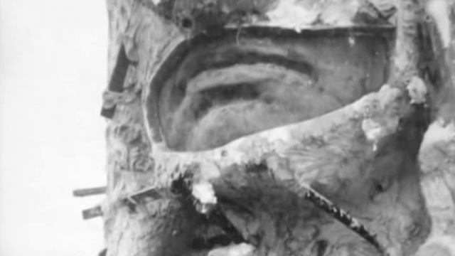 Loredo Taft & The Eternal Indian - Black Hawk Restoration смотреть онлайн