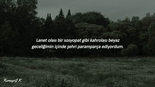 Lana Del Rey // Hope Is A Dangerous Thing For A Woman Like Me To Have -But I Have It (Türkçe çeviri смотреть онлайн