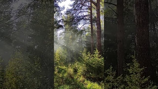 В продолжение темы Романсы!!! смотреть онлайн