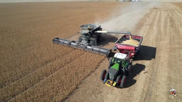 FENDT IDEAL 8 Combine with a 50 FOOT WIDE MacDon FD250 head. Illinois Soybean Harvest смотреть онлайн