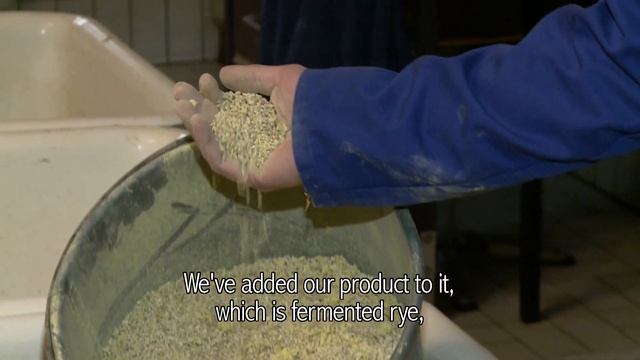 SylvanScelta - Almond mushroom based feed смотреть онлайн
