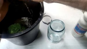 восстанавливаем китайский пуриген