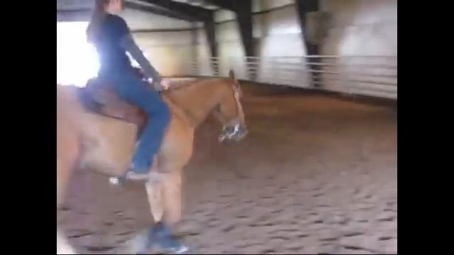 TAFFY JAC OLENA 2002 AQHA/NRHA Gelding смотреть онлайн