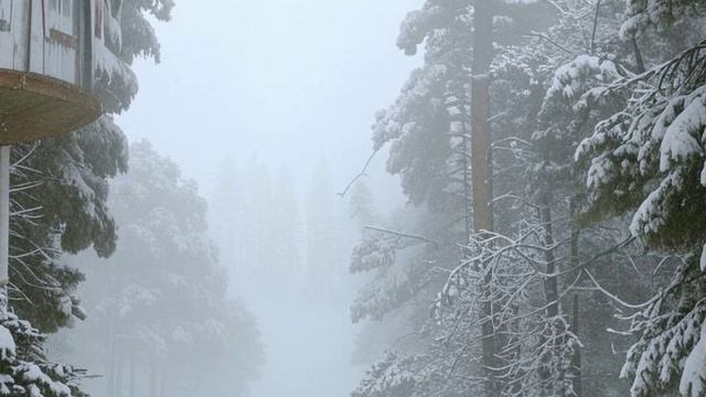 Звуки снежной бури для сна | Атмосфера зимней бури | Завывание ветра и метель смотреть онлайн
