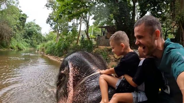 #3 Шри-Ланка МЫ ОСУЩЕСТВИЛИ МЕЧТУ Пиннавела ТАМ ГДЕ МНОГО СЛОНОВ и место где все проходит... смотреть онлайн
