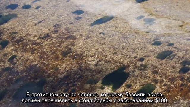 Георгий Полтавченко облился ледяной водой в знак борьбы с тяжелым заболеванием смотреть онлайн