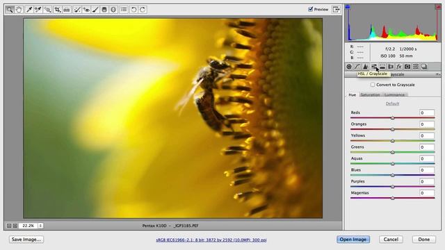 Getting to Know the Adobe Camera RAW Interface смотреть онлайн
