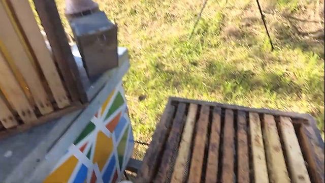 Как поднять пчелу в магазин на вощину. Исправление советов. Пчеловод Выходного Дня. смотреть онлайн