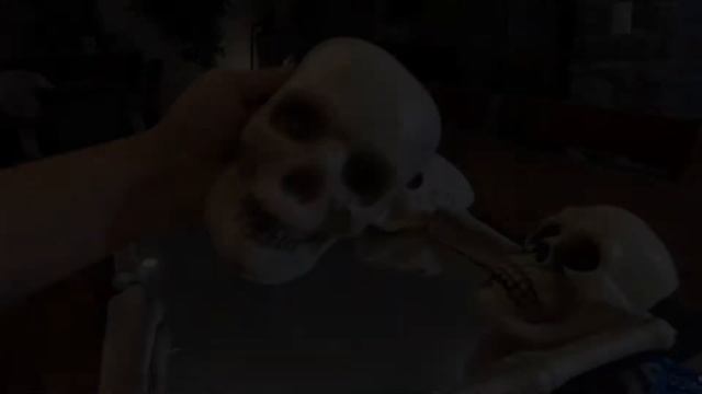 DIY Skull mirror tutorial from an old window | Halloween Decor смотреть онлайн