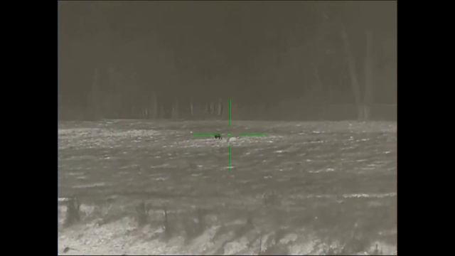 Bering Optics Super YOTER! **REVIEW and HUNT** смотреть онлайн