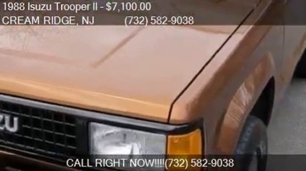 1988 Isuzu Trooper II S 4dr 4WD SUV for sale in CREAM RIDGE,