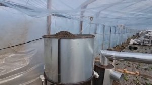 Огурец в китайских теплицах