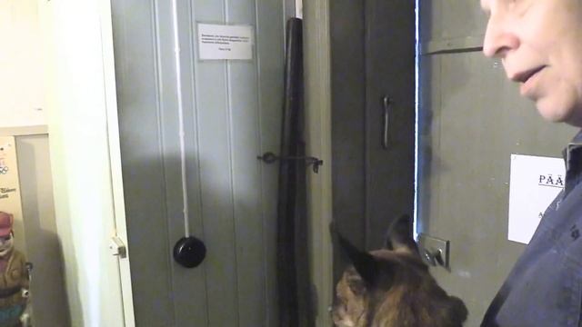 Olympiavoittaja Kaarlo Kangasniemi muistelee menneitä Leineperin ruukki Kullaa Ulvila Leineperi смотреть онлайн