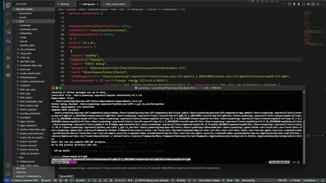 ESP Prog macOS Setup Tutorial смотреть онлайн