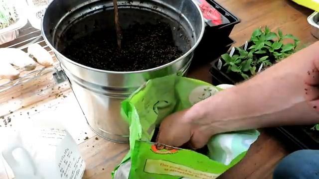 How to Use Worm Castings in Seed Starting & Potting-Up Mixes: My Secret Recipe - Beyond Basics! смотреть онлайн