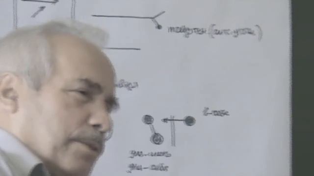 Псевдогенетический принцип Предикат как средство и как содержательность 2013 смотреть онлайн