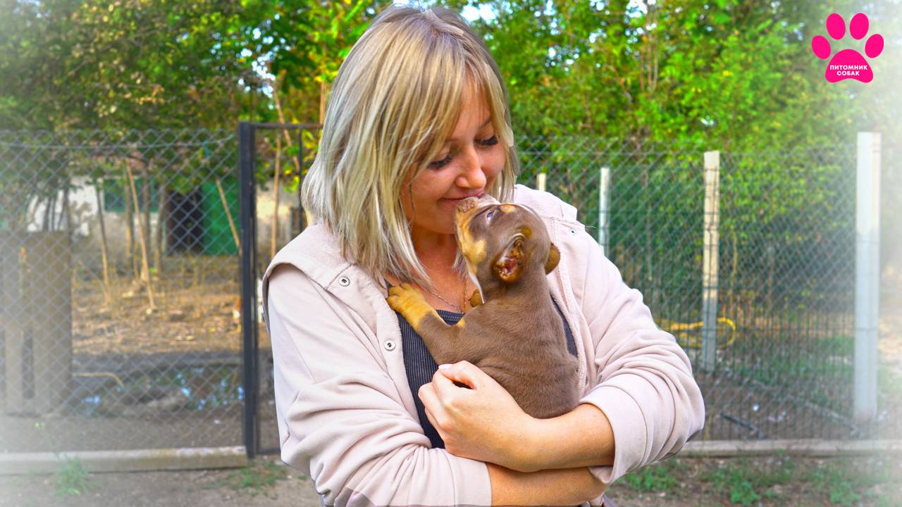 Последнее видео с Аней... Последние щенки выращенные Аней. Больше таких булли у нас не будет! смотреть онлайн