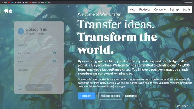 The Best Software for File Transfer - Dropbox vs Google Drive vs WeTransfer vs Hightail vs Slack смотреть онлайн