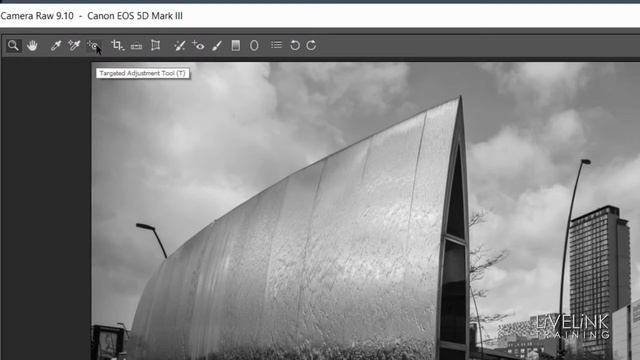 Snapshots in Camera RAW: Photoshop Beginners Essential Skills смотреть онлайн