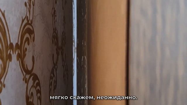 Рассказываем, как предотвратить появление клопов в вашей квартире