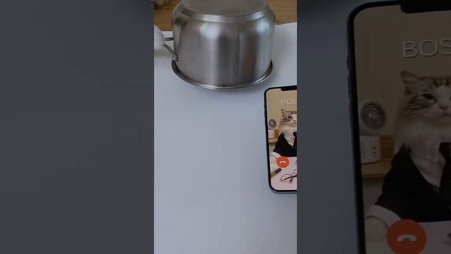 жизненно смотреть онлайн