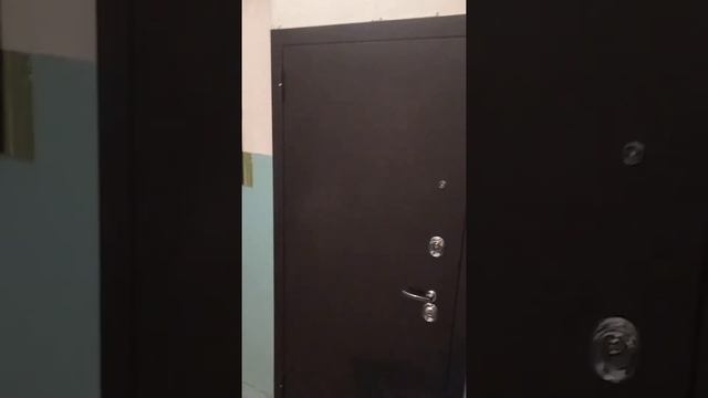 Входная дверь 3К ЛУИДЖИ ЯСЕНЬ БЕЛЫЙ смотреть онлайн