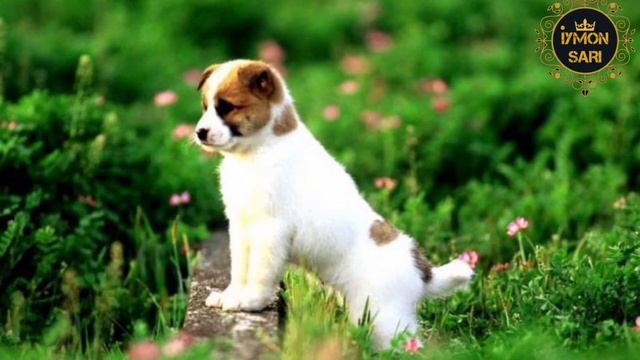 👉IT XAROM☝️ смотреть онлайн