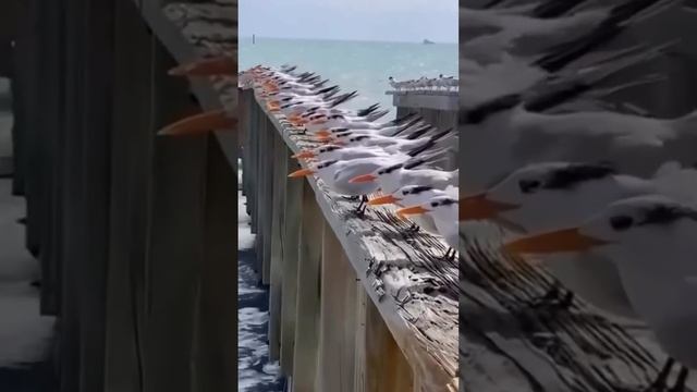 Ты все ещё будешь ждать? Пиши слово «ПОДКАСТ» и стань гостем подкаста смотреть онлайн