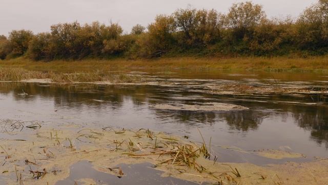 Романтический ужин на природе #camping #relaxing #camp #кемпинг