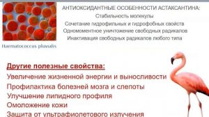 СеллГенетикс от Адженис. Клеточный эликсир молодости и долголетия.