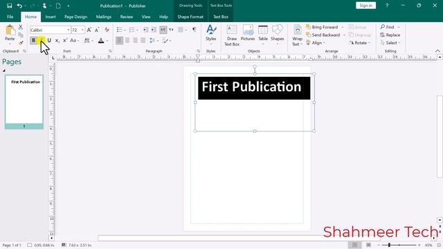 How to Bold Italic and Underline Text in MS Publisher смотреть онлайн