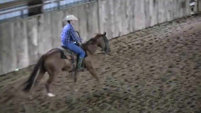 3 year old Cutter for Sale - CR Nurse Cheri (Center Ranch) смотреть онлайн