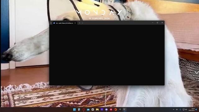Microsoft Edge vollständig deinstallieren (Windows 11 2024) смотреть онлайн