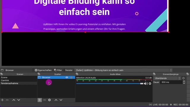 OBS: kein Mauszeiger in macOS? Kein Problem! (Tutorial 2022) смотреть онлайн