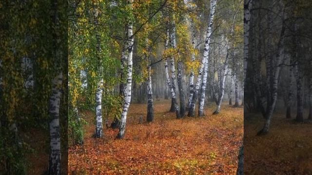 У порога © Copyright: Бронислав Сычёв, 2021 Свидетельство о публикации №121082902983 смотреть онлайн