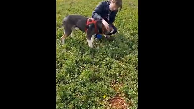 20211123 fivos video2 смотреть онлайн