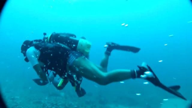 42m divemaster eilat august 2012 смотреть онлайн