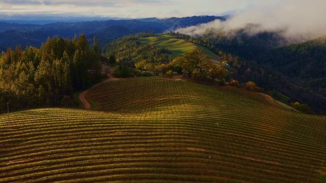 MacOS Sonoma Screen Saver Sonoma Horizon 4K