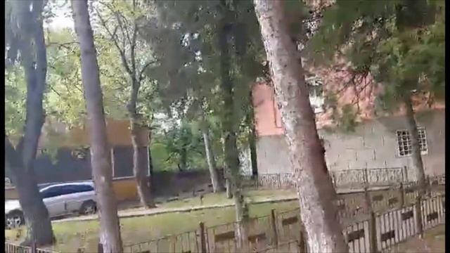 Видео разходка из ПГЛПИ "Атанас Буров" смотреть онлайн