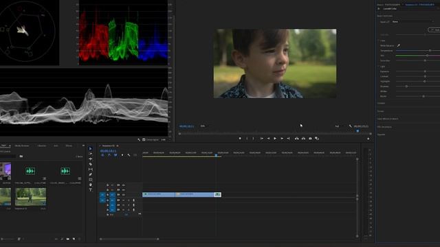 Color Grading Tutorial - Adobe Premiere Pro 2022 смотреть онлайн