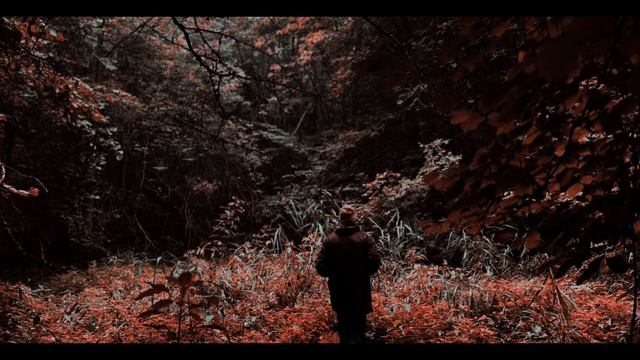 iPhone LUTs for Color Grading Phone Video In Any Editing Software | PIXFLOW смотреть онлайн