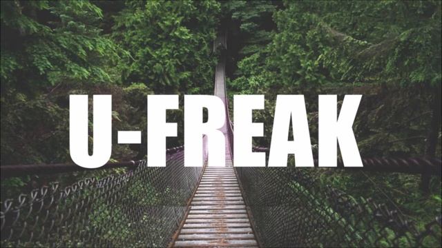 K-391 - Electro House 2012 (U-Freak Remix) смотреть онлайн