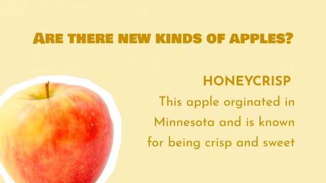 How Many Types of Apples Are There? And Which Is Best? смотреть онлайн