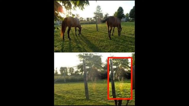 Paranormal Apparitions | Caught on Camera | Top Nine Commentary 12 смотреть онлайн