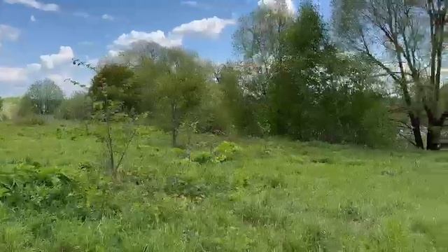 ЗУ: 145 д. Елизарово смотреть онлайн