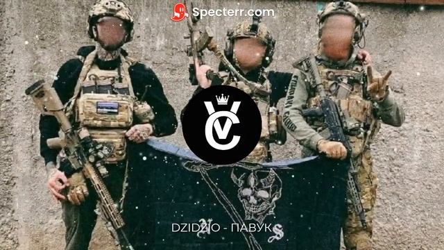 DZIDZIO - ПАВУК ( VERP MUSIC REMIX ) смотреть онлайн