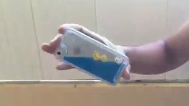 Ducks Iphone Cover смотреть онлайн