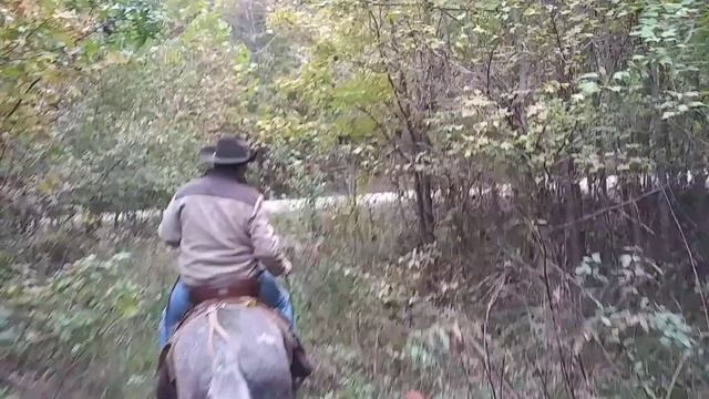 GUS ON THE TRAIL W CADILLAC JACK AND CINDY LOU смотреть онлайн